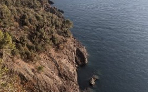 Wanderwege führen auch weit rauf